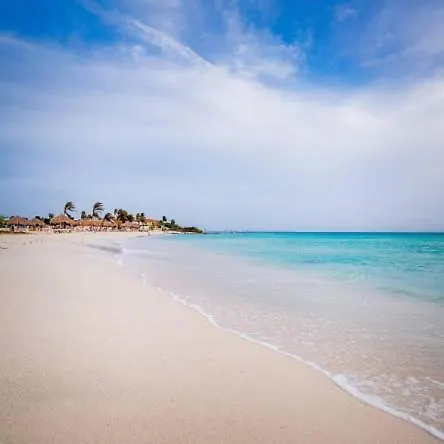 Bubali IV Daire Palm Beach